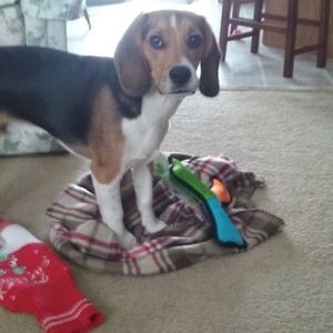 Meet your Posher, Susan